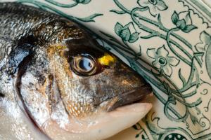 silver and black fish on white and green textile