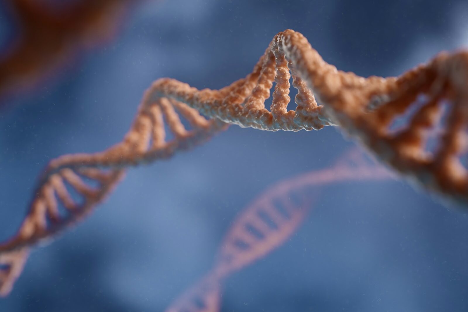 a close up of a structure with a blue background
